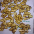 Chinese Fresh Ginger From Farm